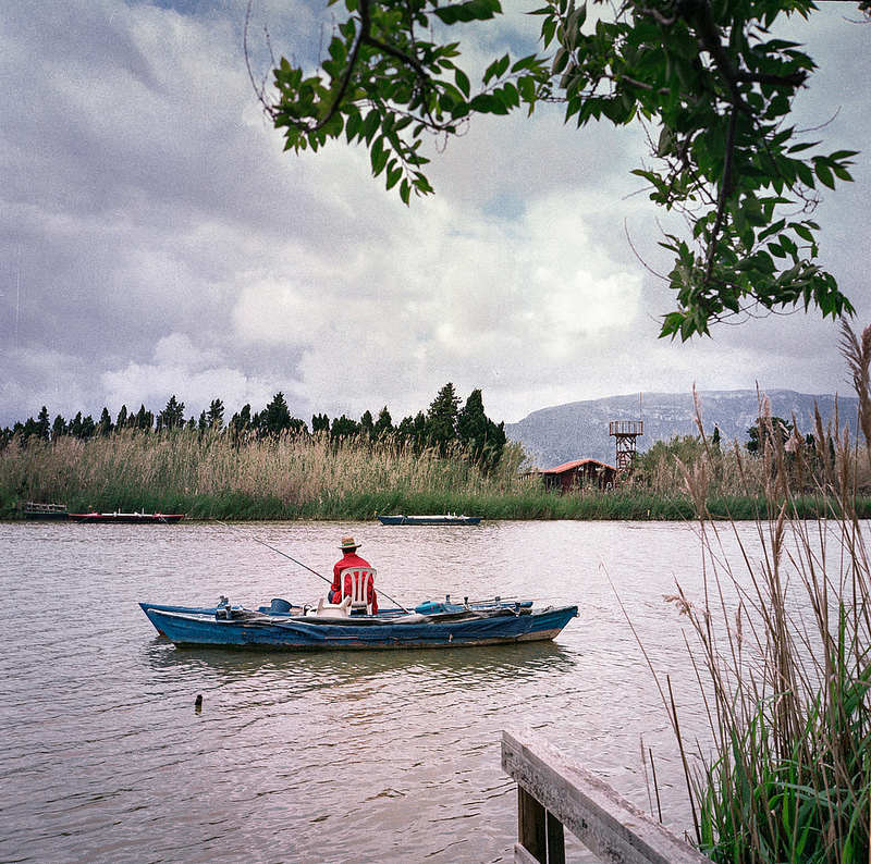 8988973828 6c7d296911 c 1 - Mis primera fotos con una Rollei