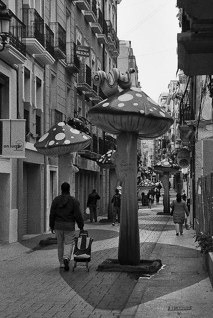 12003050274 38ba2f14ef z 1 - La calle de las setas (Alicante)