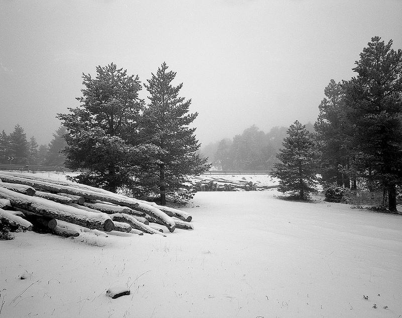 12093321466 4a013494ed c 1 - Troncos y Nieve, con Mamiya 7