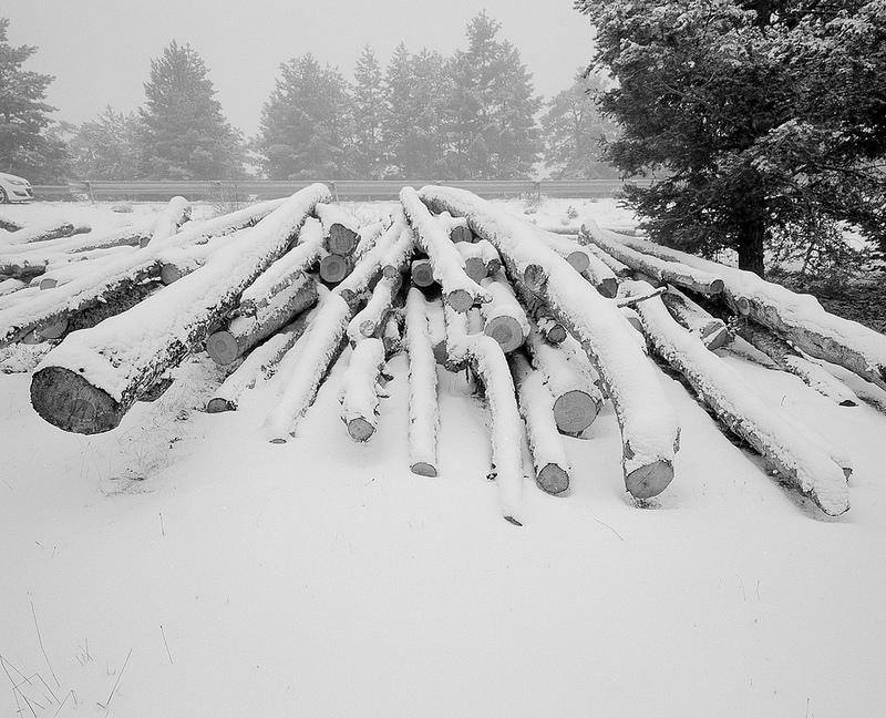 12099343626 5de5e3b733 c 1 - Troncos y Nieve, con Mamiya 7