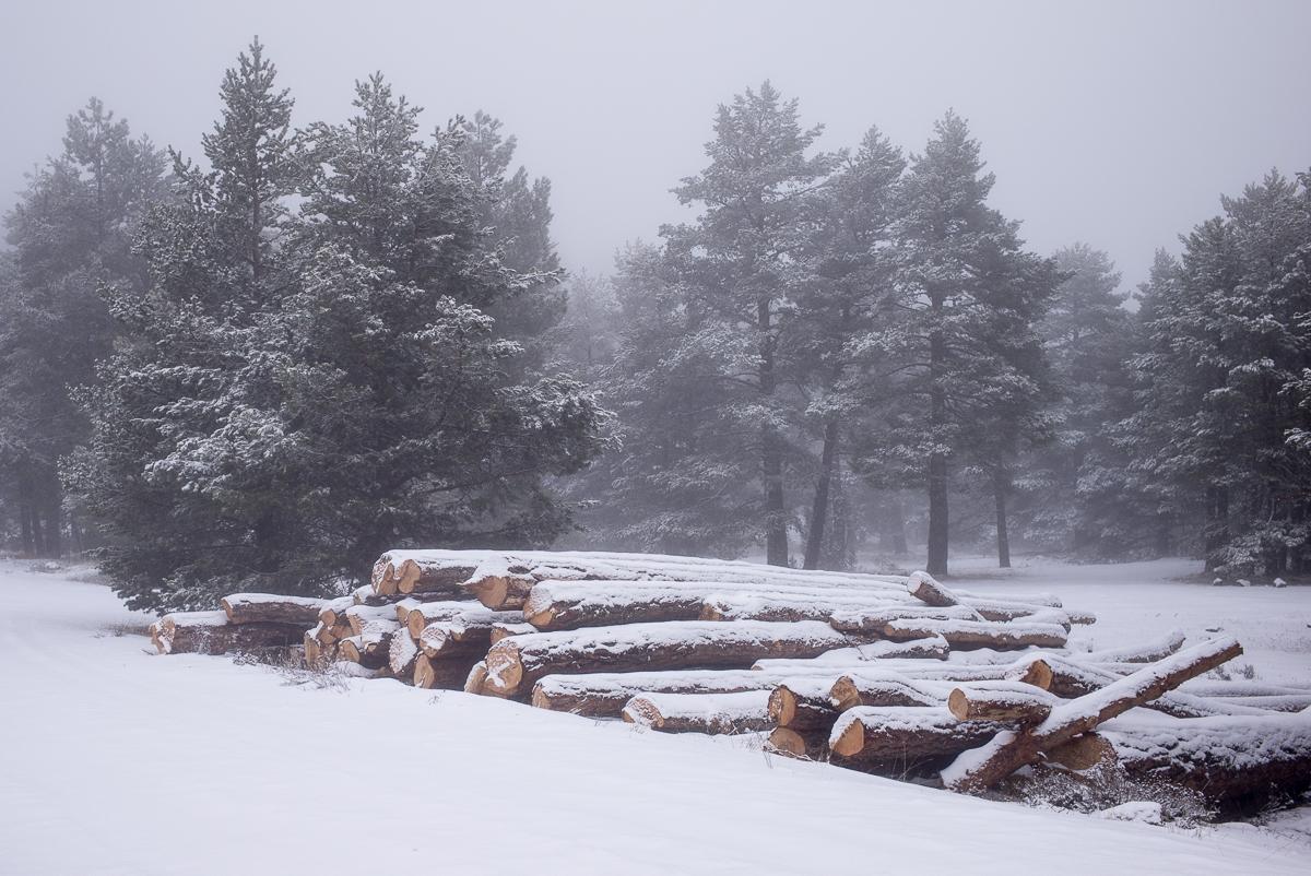 MLTroncosyNieve 1 - Troncos y Nieve