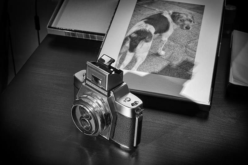s1907 zpsfw15mski 1 - Mi nueva cámara.