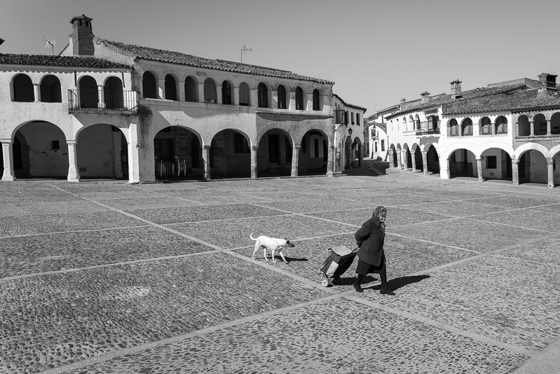 Se ora con perro - Cáceres y otras  perlas de Extremadura