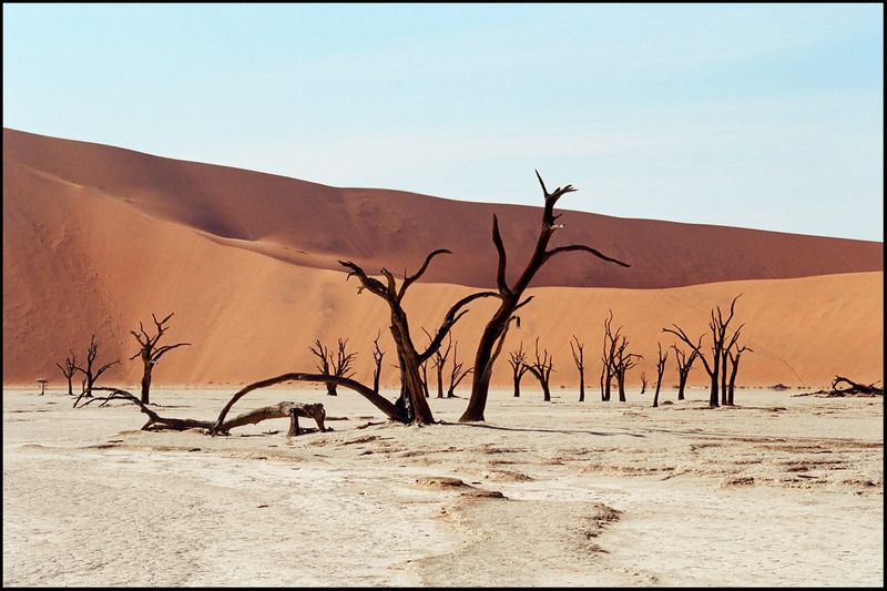 MR 135NC116 08 - Dead Vlei, otro paraíso del fotógrafo