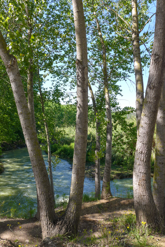 El rio - Mayo - MI PAISAJE