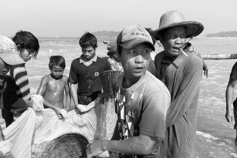 20140214 L1010250 Editar - Los pescadores de Ngwesaung