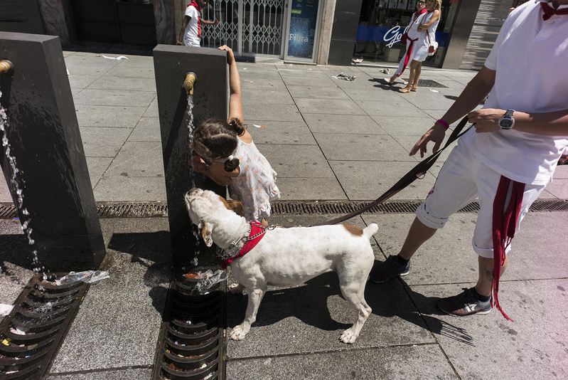 L1008369 - De San Fermín en San Fermín