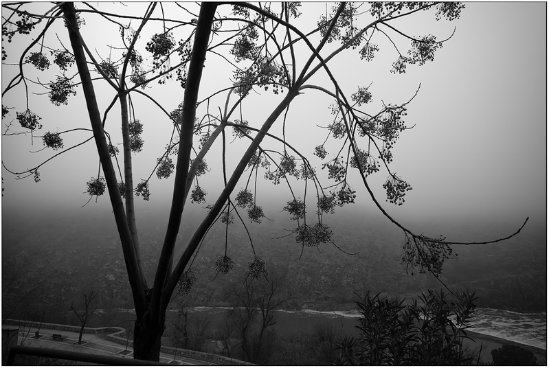 Vista - Niebla en el Tajo